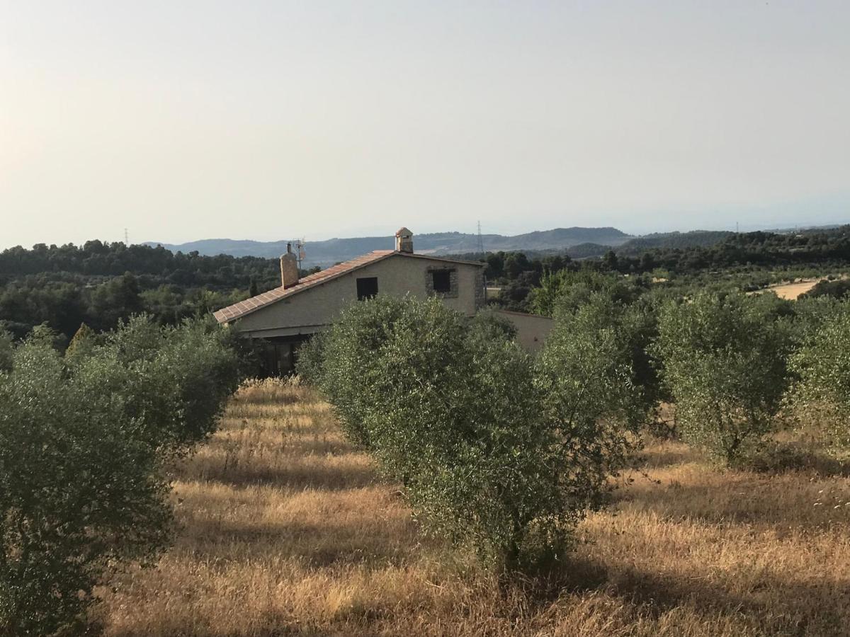 Mas Arboretum Villa La Pobla de Cérvoles Kültér fotó