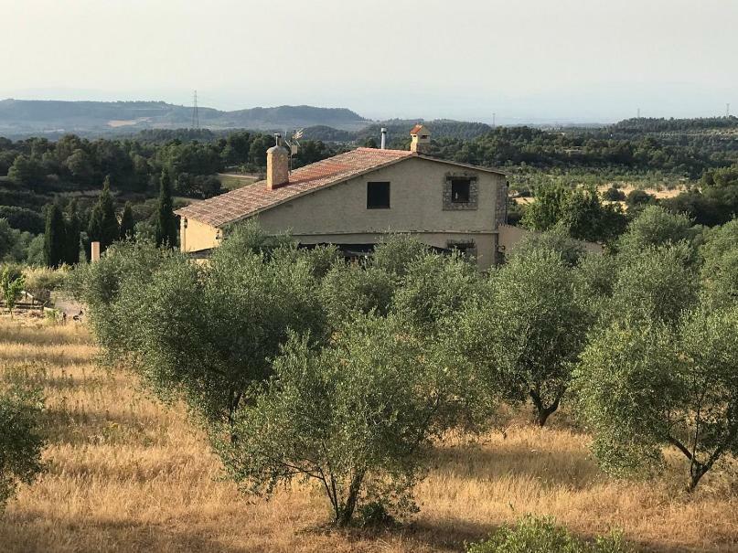 Mas Arboretum Villa La Pobla de Cérvoles Kültér fotó