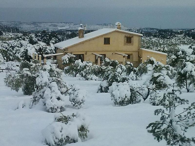 Mas Arboretum Villa La Pobla de Cérvoles Kültér fotó